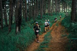 BIB: 
                            <button type="button" onclick="openModal(25753446)" class="btn btn-primary btn-sm float-right btn-popup" data-toggle="modal" data-target=".modal-high-quality">
                        <i class="fas fa-shopping-cart"></i> Add to Cart
                    </button>
                                            <button type="button" onclick="isThisMe(25753446, true)" class="btn btn-success btn-sm float-right btn-popup btn-isme hidden" data-toggle="tooltip" data-placement="bottom" title="นี่คือรูปของคุณใช่ไหม คลิกที่นี่เพื่อเอาเข้าอัลบั้ม">
                        <i class="fas fa-plus"></i> Add to album
                    </button>
                    <button type="button" onclick="isThisMe(25753446, false)" class="btn btn-warning btn-sm float-right btn-popup btn-isnotme hidden">
                        <i class="fas fa-ban"></i> Remove from album
                    </button>